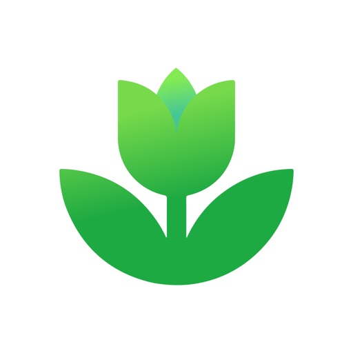 Plant App: Plant Identifier