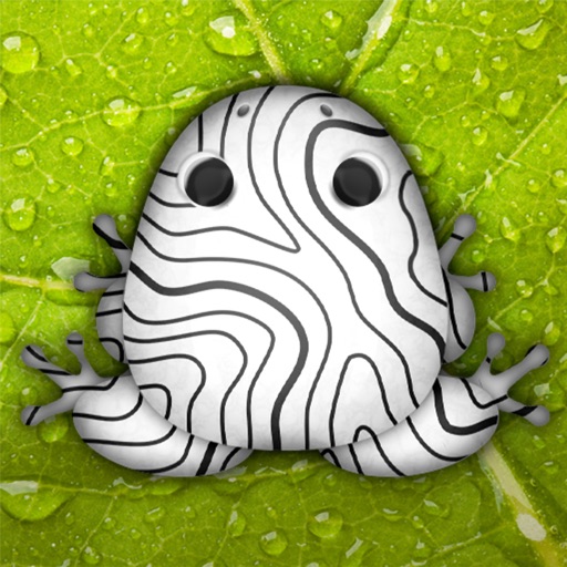 Pocket Frogs: Tiny Pond Keeper